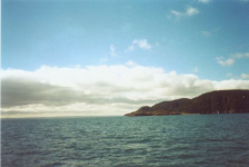 572: Red Island. "The Neck". (2002) [courtesy of Heather Walsh]